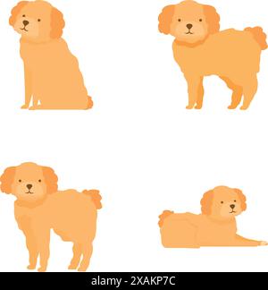 Collection of cute illustrated poodles in different stances, perfect for petthemed designs Stock Vector