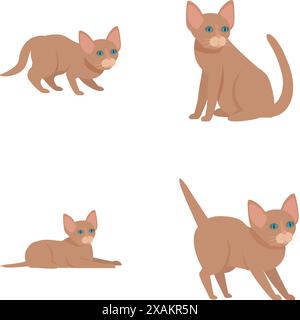 Collection of cute cartoon burmese cats illustrated in different postures Stock Vector