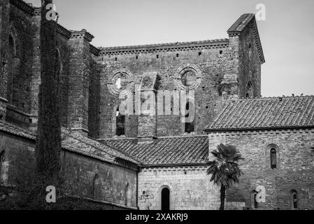 Ruin of the medieval Cistercian monastery San Galgano in the Tuscany, Italy Stock Photo