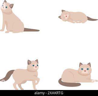 Collection of siamese cat illustrations, featuring different poses and expressions Stock Vector