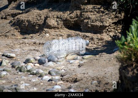 Empty plastic bottle of water discarded in the wild Stock Photo