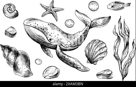 Whale, shells, starfish, fish, bubbles, pebbles and other sea animals and plants. Graphic illustration hand drawn in black ink. Set of isolated Stock Vector