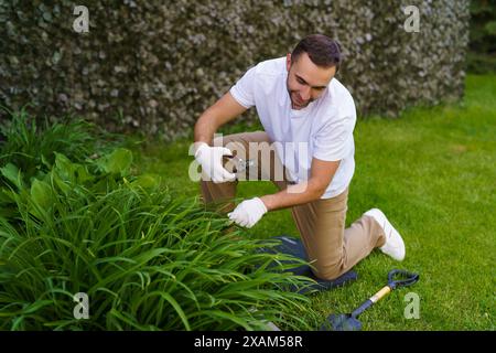 seasonal work in the garden. Gardener in work gloves cuts dry branches of thuja with shears. Pruning bushes. Cutting Branches at spring or autumn. han Stock Photo