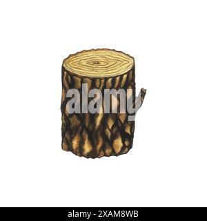 Watercolor wood tree stump, log. Cartoon piece of wood. Broken oak, linden, maple, cedar. Hand drawn illustration Isolated on white background Stock Photo