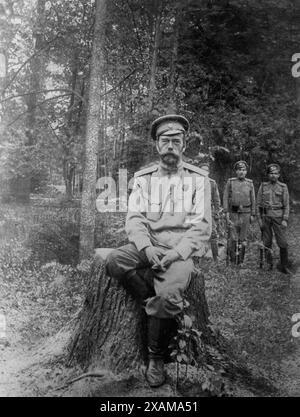 Nicholas Romanoff [Romanov], 1917. Shows Tsar Nicholas II at Tsarkoye Selo after his abdication in 1917. Stock Photo