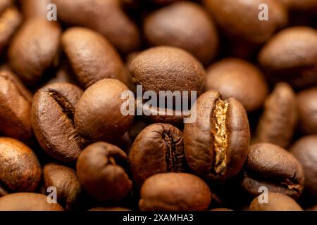 Discover the rich textures and earthy aroma of roasted coffee beans in this high-resolution macro shot. Stock Photo