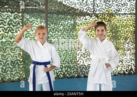 Children in kimono practicing karate on tatami outdoors Stock Photo