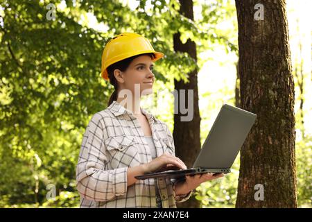 Forester in hard hat with laptop working in forest Stock Photo
