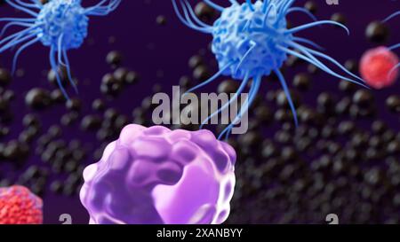 Illustration of three types of white blood cell: a macrophage (purple), dendritic cells (blue) and t helper cells (red). Macrophages mainly function to engulf and destroy substances which provoke an immune response. This process is known as phagocytosis. Dendritic cells' primary function is presenting antigens, which are molecules which the immune system recognises as foreign. T helper cells are involved in chemically signalling other immune cells and coordinating the immune response. Stock Photo