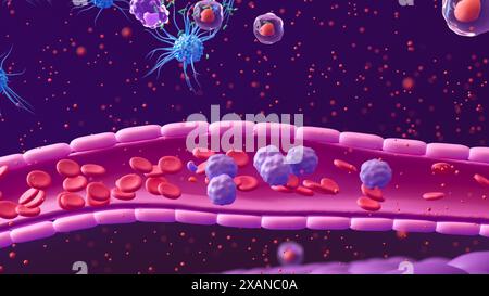 Illustration showing white blood cells (purple) in a blood vessel (pink tube) moving towards the site of a bacterial infection (green, top). Certain types of white blood cell, including dendritic cells (blue) and T helper cells (purple with red nuclei) can release small signal proteins collectively termed cytokines (red dots). By moving towards high concentrations of cytokines (chemotaxis), more white blood cells can travel to the site of an infection. Stock Photo