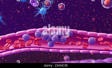 Illustration showing white blood cells (purple) in a blood vessel (pink tube) moving towards the site of a bacterial infection (green, top). Certain types of white blood cell, including dendritic cells (blue) and T helper cells (purple with red nuclei) can release small signal proteins collectively termed cytokines (red dots). By moving towards high concentrations of cytokines (chemotaxis), more white blood cells can travel to the site of an infection. Stock Photo