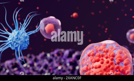 Illustration of signal proteins called cytokines (red dots) and two types of white blood cell: a dendritic cell (blue) and t helper cells (purple with red nucleus). Dendritic cells' primary function is presenting antigens, which are molecules which the immune system recognises as foreign. T helper cells are involved in chemically signalling other immune cells and coordinating the immune response. They do so by releasing cytokines. Stock Photo