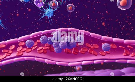 Illustration showing white blood cells (purple) in a blood vessel (pink tube) moving towards the site of a bacterial infection (green, top). Certain types of white blood cell, including dendritic cells (blue) and T helper cells (purple with red nuclei) can release small signal proteins collectively termed cytokines (red dots). By moving towards high concentrations of cytokines (chemotaxis), more white blood cells can travel to the site of an infection. Stock Photo