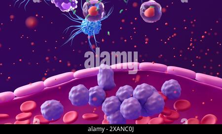 Illustration showing white blood cells (purple) leaving a blood vessel (pink, bottom) at the site of a bacterial infection (green, top). Certain types of white blood cell, including dendritic cells (blue) and T helper cells (purple with red nuclei) can release small signal proteins collectively termed cytokines (red dots). By moving towards high concentrations of cytokines (chemotaxis), more white blood cells can travel to the site of an infection. Stock Photo