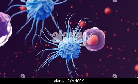 Illustration of signal proteins called cytokines (red dots) and three types of white blood cell: a macrophage (purple, left), dendritic cells (blue) and t helper cells (purple, red nucleus). Macrophages mainly function to engulf and destroy substances which provoke an immune response. This process is known as phagocytosis. Dendritic cells' primary function is presenting antigens, which are molecules which the immune system recognises as foreign. T helper cells are involved in chemically signalling other immune cells and coordinating the immune response. They do so by releasing cytokines. Stock Photo