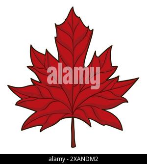 Detailed red maple leaf in cartoon style isolated on white background. Stock Vector