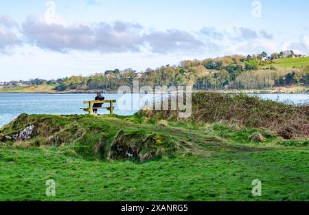 Helen's Bay County Down Northern Ireland March 20 2024 - A woman sitting on a bench looking out over Belfast Lough Stock Photo