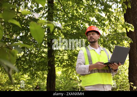 Forester in hard hat with laptop working in forest Stock Photo