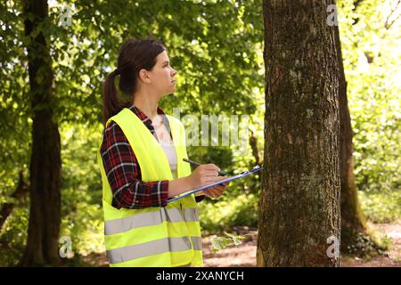 Forester with clipboard and pen examining tree in forest Stock Photo
