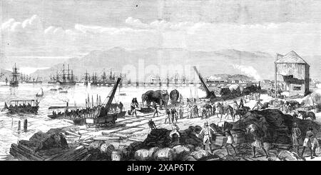 The Abyssinian Expedition: a sketch on the shore at Zulla, Annesley Bay, 1868. Engraving of a sketch by Captain F. F. Atkinson, of the 45th Regiment (British Army). '...a stirring and bustling scene meets the eye: men of various nations are hurrying to and fro, some...loading trucks with stores and provision of all sorts; others disembarking cattle, mules, camels, and elephants...Officers and men of all the services are working like slaves, dressed in every conceivable costume...In passing along the pier, one is warned by the desperate screech of an approaching engine to get out of the way...A Stock Photo