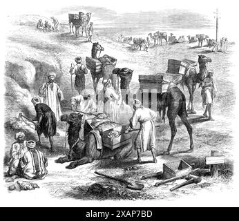 The Isthmus of Suez Maritime Canal: workmen loading dromedaries, 1869. 'The Engraving on our front page shows one or two groups of the fellahs, or native Egyptian labourers, of whom 4000 are now at work on the canal. They are using camels and donkeys to carry away the earth from the excavation. Parts of the line have to be constructed in this way by manual labour; the other parts are done by the use of dredging-machines...The canal, with its ports at each end, when finished, was to be the property of the company for ninety-nine years, after which it would belong to the Egyptian Government...Th Stock Photo