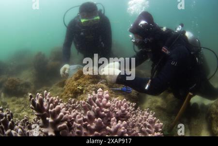 (240608) -- SANYA, June 8, 2024 (Xinhua) -- Wang Fengguo conducts ...