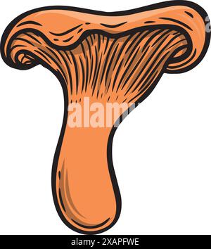 Chantarelle line drawing mushroom vector isolated on white background. Stock Vector