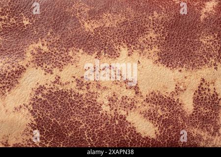 Close Up of Worn Leather Texture Stock Photo