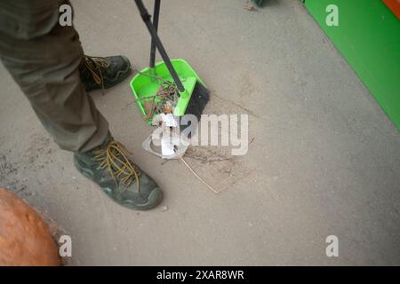 Cleaning up trash on the street. Scoop with fire. Broom for sweeping. Cleaning the path. Stock Photo