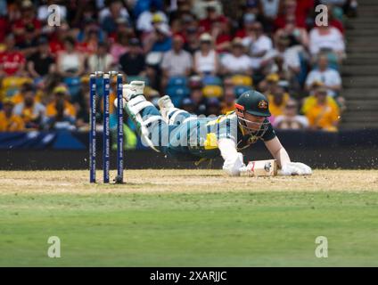 Bridgetown, Barbados. 08th June, 2024. ICC T20 World Cup 2024 - Australia v England Close call for Australia's David Warner as Australia take on England in the ICC T20 World Cup at the Kensington Oval, Bridgetown, Barbados. Credit: Ian Jacobs/Alamy Live News Stock Photo