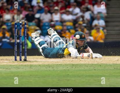 Bridgetown, Barbados. 08th June, 2024. ICC T20 World Cup 2024 - Australia v England Close call for Australia's David Warner as Australia take on England in the ICC T20 World Cup at the Kensington Oval, Bridgetown, Barbados. Credit: Ian Jacobs/Alamy Live News Stock Photo