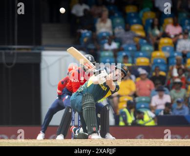 Bridgetown, Barbados. 08th June, 2024. ICC T20 World Cup 2024 - Australia v England 6 for Australia's Travis Head as Australia take on England in the ICC T20 World Cup at the Kensington Oval, Bridgetown, Barbados. Credit: Ian Jacobs/Alamy Live News Stock Photo