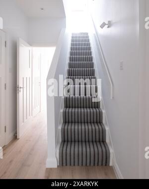 Minimalist, white painted hallway and staircase of a converted Edwardian house in north London. There is a grey and tan striped sisal carpet runner. Stock Photo