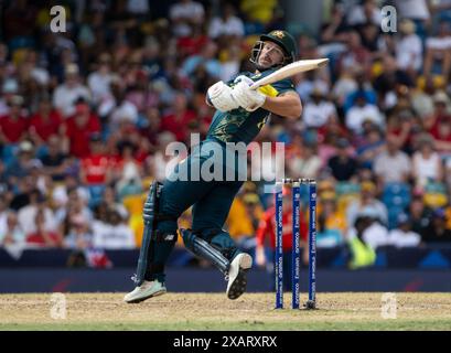 Bridgetown, Barbados. 08th June, 2024. ICC T20 World Cup 2024 - Australia v England Australia's Matthew Wade as Australia take on England in the ICC T20 World Cup at the Kensington Oval, Bridgetown, Barbados. Credit: Ian Jacobs/Alamy Live News Stock Photo