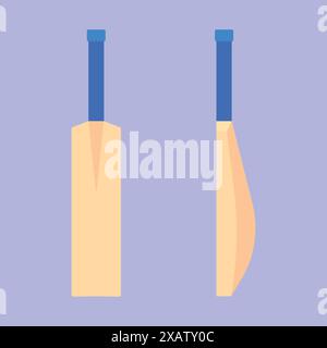 Cricket bat icon vector illustration. Cricket sports bat icon. Cricket bat front view side view Stock Vector