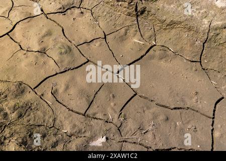 cracked soil in close-up , a large number of cracks in the soil during moisture drying Stock Photo