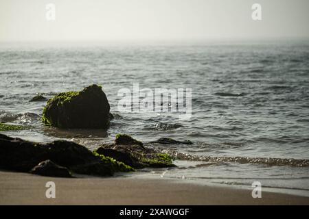 A serene beach scene with rocks covered in green moss, gentle waves, and a calm sea under a hazy sky. Stock Photo