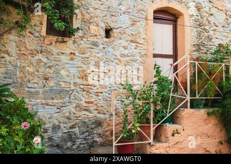 Green plants growing in pots on a staircase in front of a traditional stone house Stock Photo