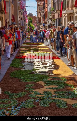 People walking and taking photos on a street decorated with a folder of flowers during the popular and famous Corpus Christi festival in the Garriga o Stock Photo