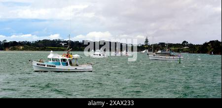 Te Hiku Ward, New Zealand - 7th November 2022:Fishing boats at anchoe in the winds Stock Photo