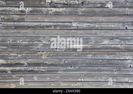 Weathered wood board on barn wall. Background of greyish wood plank Stock Photo