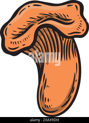 Engraved chantarell mushroom line drawing vector illustration. Stock Vector