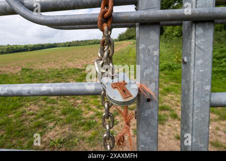 Padlock and chain securing a gate to a field on a farm Stock Photo