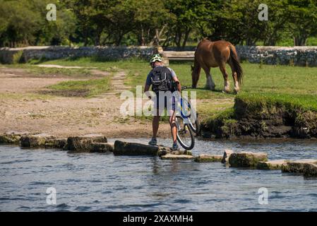 Crossing the stepping stones across The River Ewenny at Ogmore Castle near Bridgend South Wales . ( Tuesday 23/6/15 ). Stock Photo