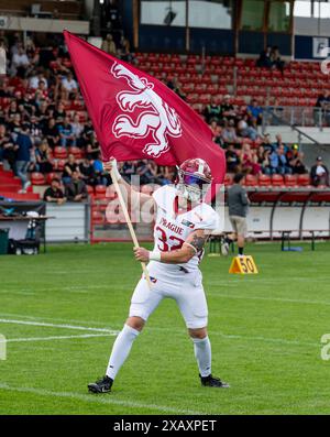 Antonin Kvapil (Prague Lions, #32) mit Fahne der Prague Lions beim Einlauf.  Munich Ravens gegen Prague Lions, Football, European League of Football ELF, Week 3, Saison 2024, 09.06.2024.  Foto: Eibner Pressefoto/Heike Feiner Stock Photo