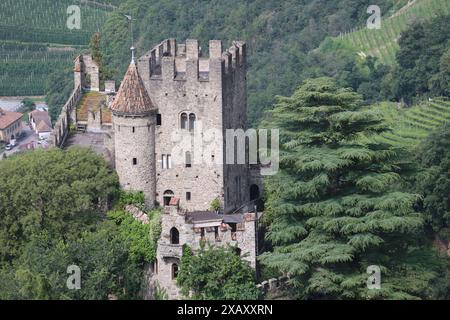 Dorf Tirol, Südtirol, Italien 07. Juni 2024: Hier der Blick von Dorf Tirol, Tirolo oberhalb von Meran auf die Brunnenburg, Castel Fontana, Hangburg, Ezra Pound, Landwirtschaftsmuseum, Meraner Land, Burggrafenamt, wandern, spazieren, Tourismus, Hotspot, Urlaubsdomizil *** Dorf Tirol, South Tyrol, Italy 07 June 2024 Here is the view from Dorf Tirol, Tirolo above Meran to the Brunnenburg, Castel Fontana, hillside castle, Ezra Pound, agricultural museum, Meraner Land, Burggrafenamt, hiking, walking, tourism, hotspot, vacation destination Stock Photo