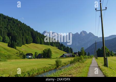 A paved path leads through a green meadow with mountains and electricity pylons in the background on a summer's day, Gosau, Austria Stock Photo