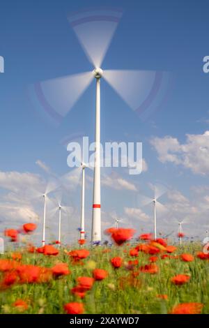 Wind farm, field with flower strips, insect-friendly border of fields with mixed flowers, poppies, north of Marsberg, Hochsauerlandkreis, NRW, Germany Stock Photo