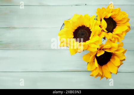 Top view of a bouquet of three yellow sunflowers in a glass vase over a rustic painted table. Copy space available. Flat lay. Stock Photo