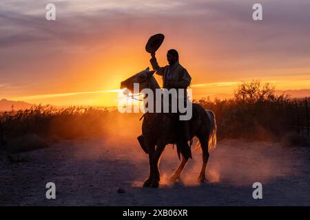 Silhouette of a ranch hand, or cowboy, riding his horse in the sunset. Waving his hat over his head. Stock Photo